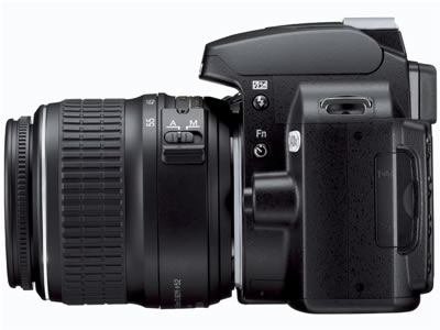 Nikon d40x