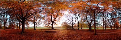 Will Pearson Hampstead