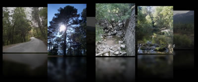 Photorganizr