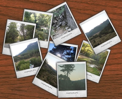 Photorganizr