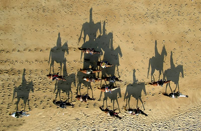 Pyramid of horses