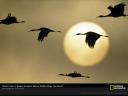 Photograph by Joel Sartore