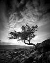 Photo Tristan Campbell
