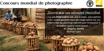 Année internationale de la pomme de terre 2008