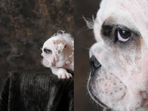 Nikon D700 sample1