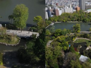 Nikon D700 sample 3