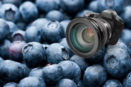 megapixels