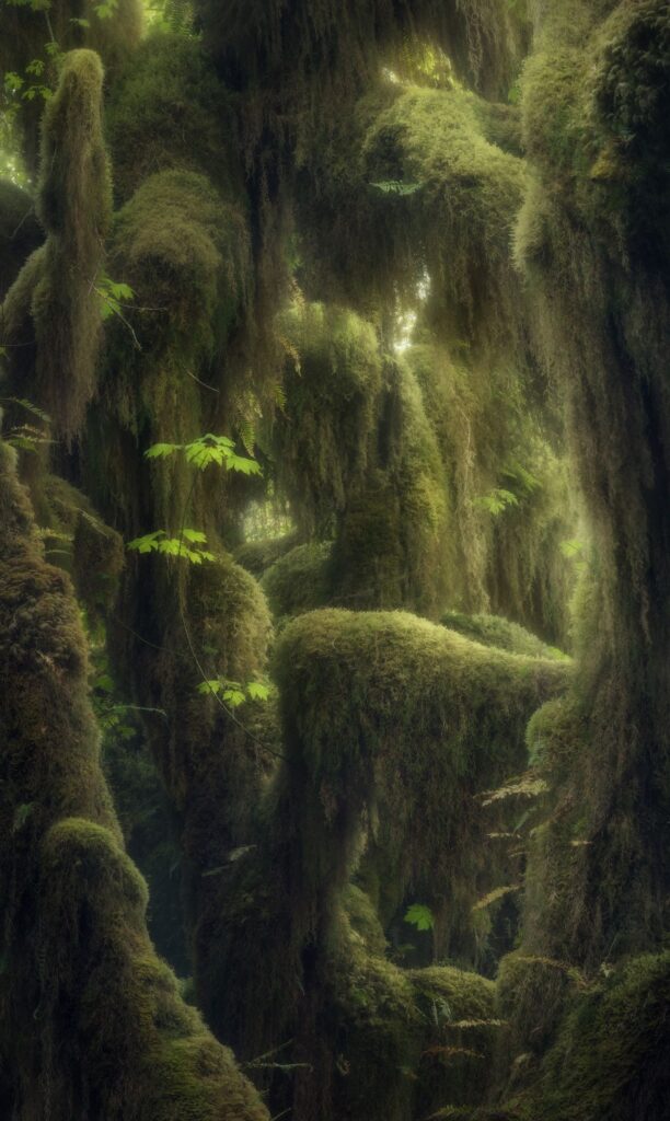 photographies de paysage de l'année