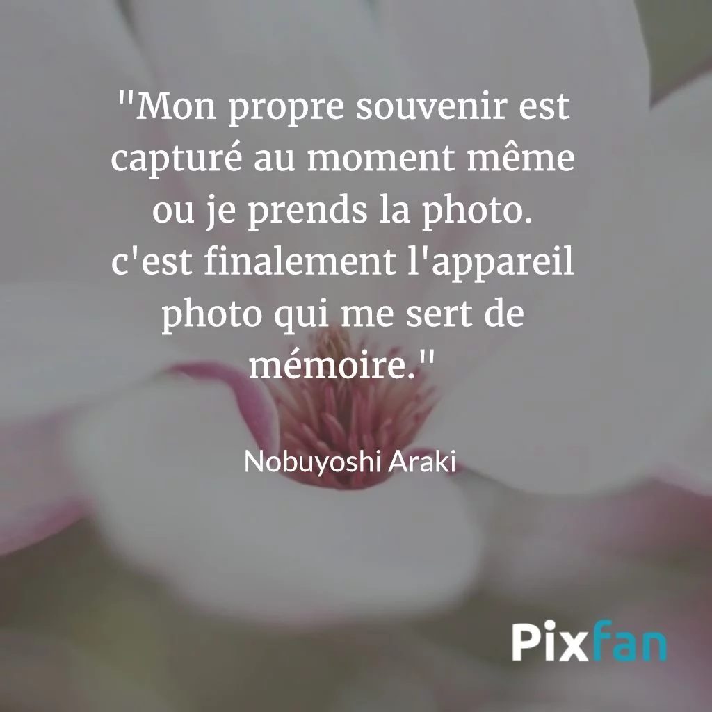 Les Plus Belles Citations Sur La Photographie Les Plus Belles Citations Sur La Photographie