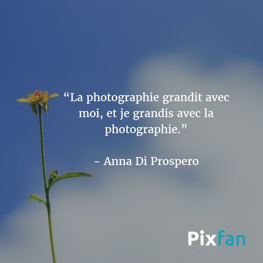 Les plus belles citations sur la photographie