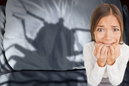 phobie des insectes