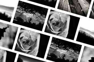 Photographie noir et blanc