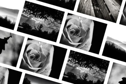 Photographie noir et blanc