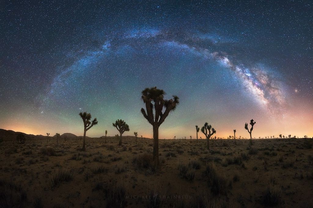 9 qualités d'un bon photographe Michael Shainblum