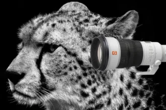 Sony FE 300mm F2.8 GM OSS