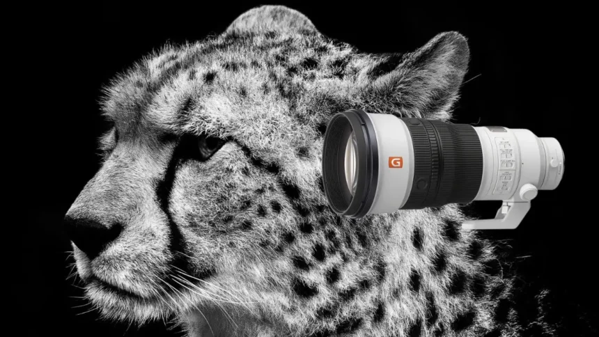 Sony FE 300mm F2.8 GM OSS