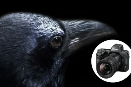 Nikon Z8 firmware 2.0