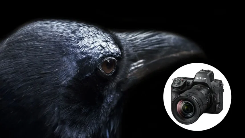 Nikon Z8 firmware 2.0