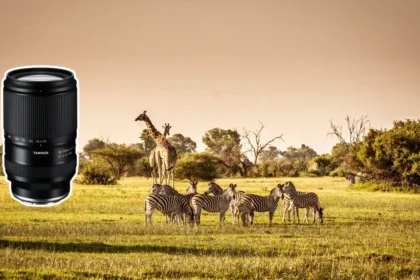 TAMRON 28-300mm F/4-7.1 Di III