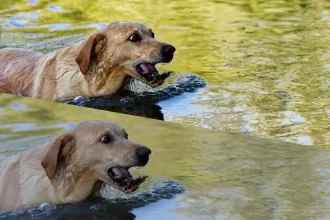 Manque de contraste en photo