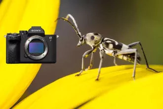 Sony A7 IV firmware 6.00