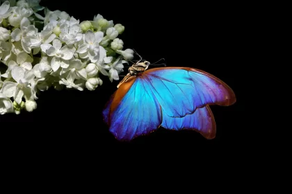 concours photo juillet 2026