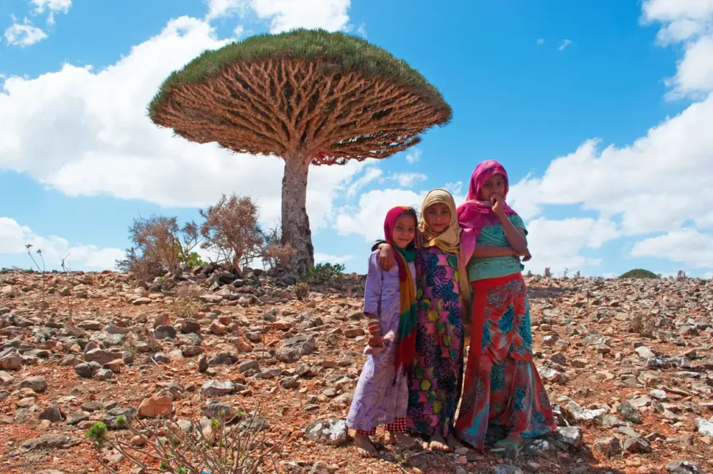 Photographier Socotra en 2026 : le guide qui ne vous vend pas du rêve Socotra photo